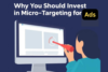 Why You Should Invest in Micro-Targeting for Ads? - Post Thumbnail