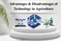 Advantages and Disadvantages of Technology in Agriculture