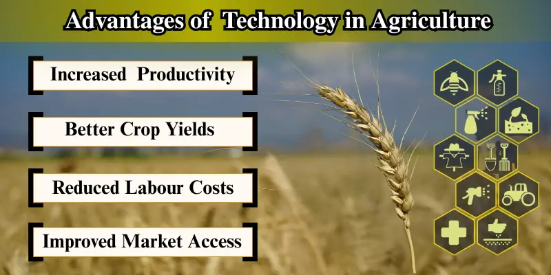 Visual showing the advantages of technology in agriculture: increased productivity, better crop yields, reduced labor costs, and improved market access.