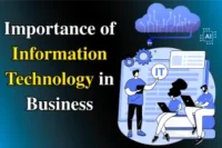 Importance of Information Technology in Business Today