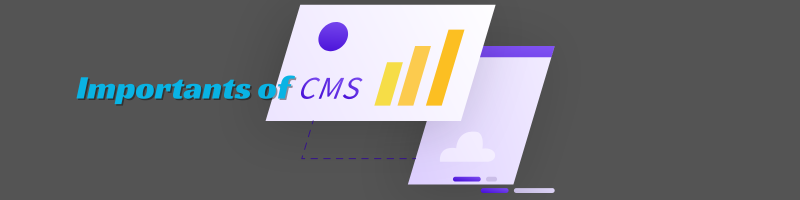 importants of CMS